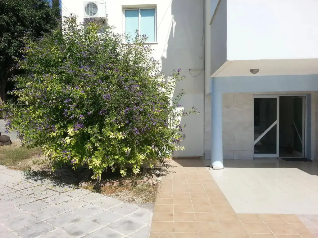 Пафос: Faneromeni Court