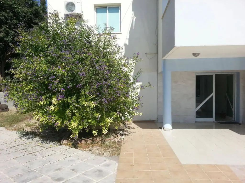 Пафос: Faneromeni Court