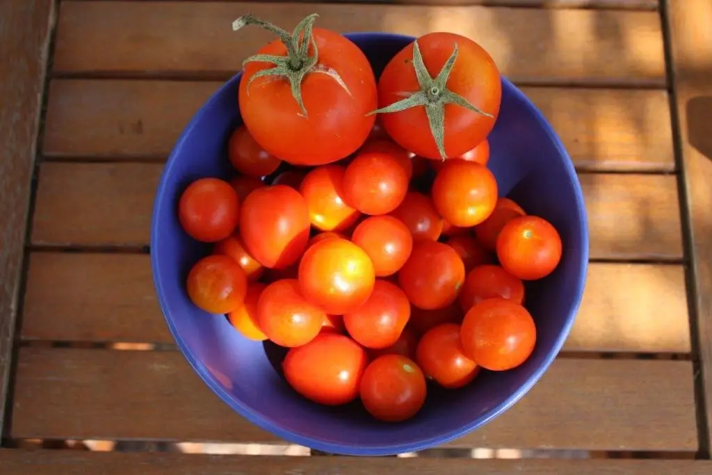 Агиа-Варвара: Aperanti Agrotourism