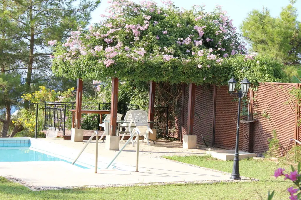 Аргака: Villa Knossos
