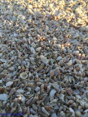 Перволия: Ameli Beach House