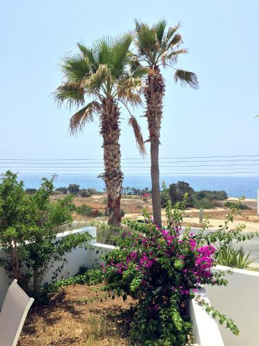 Пафос: Ikaria Village Villa