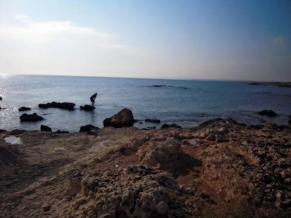Pyla View Villas, Larnaca — фото 1
