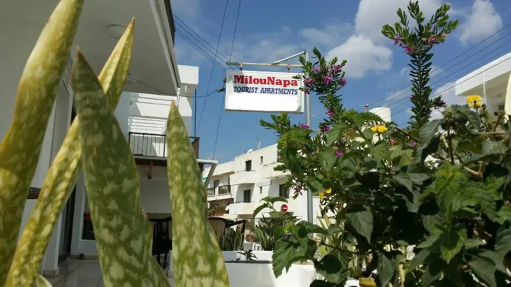 Айя-Напа: G Papanicola Tourist Apartments