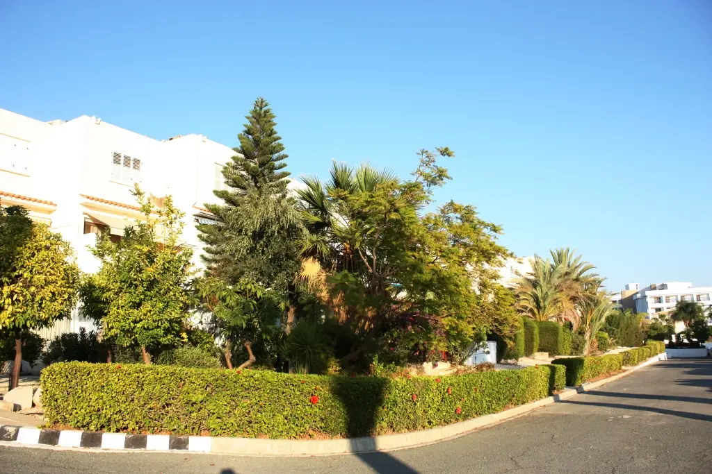 Пейя: Апартаменты Green Oasis Beach