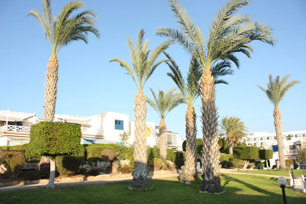 Пейя: Апартаменты Green Oasis Beach