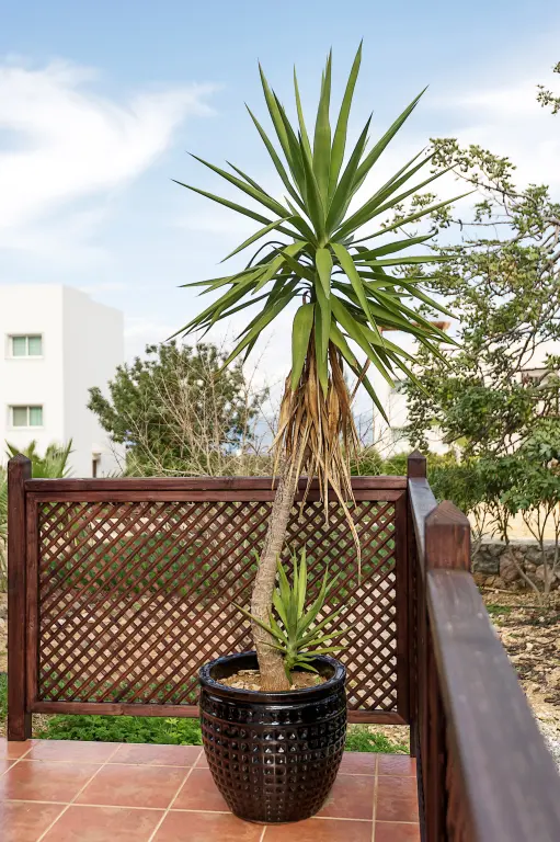 Кучук Эренкой: Апартаменты Joya Cyprus Seashore Garden