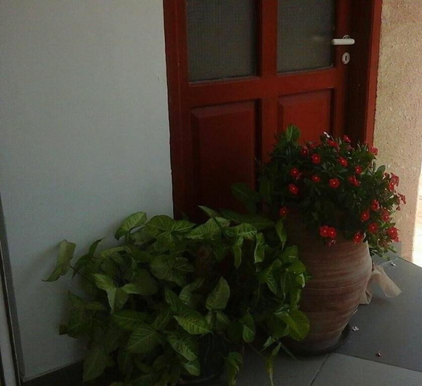 Полис Хрисохус: Kozis Hotel Apts