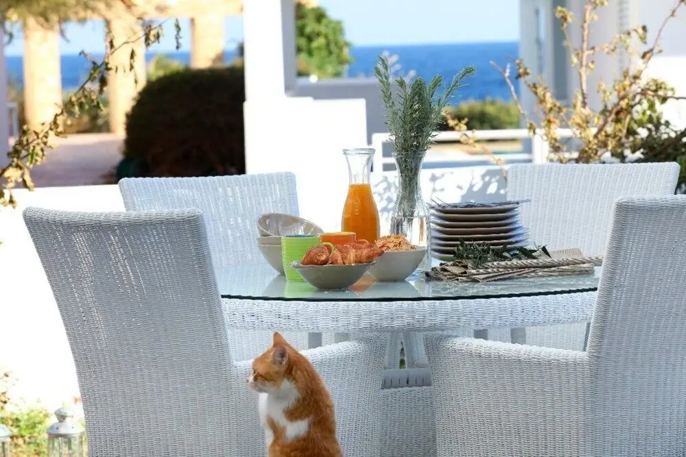 Протарас: Villa for Rent in Protaras 1051