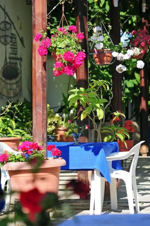 Полис Хрисохус: Room in Apartment - One Bedroom Apartment in Paphos