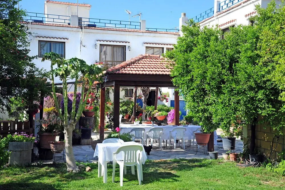 Полис Хрисохус: Room in Apartment - One Bedroom Apartment in Paphos