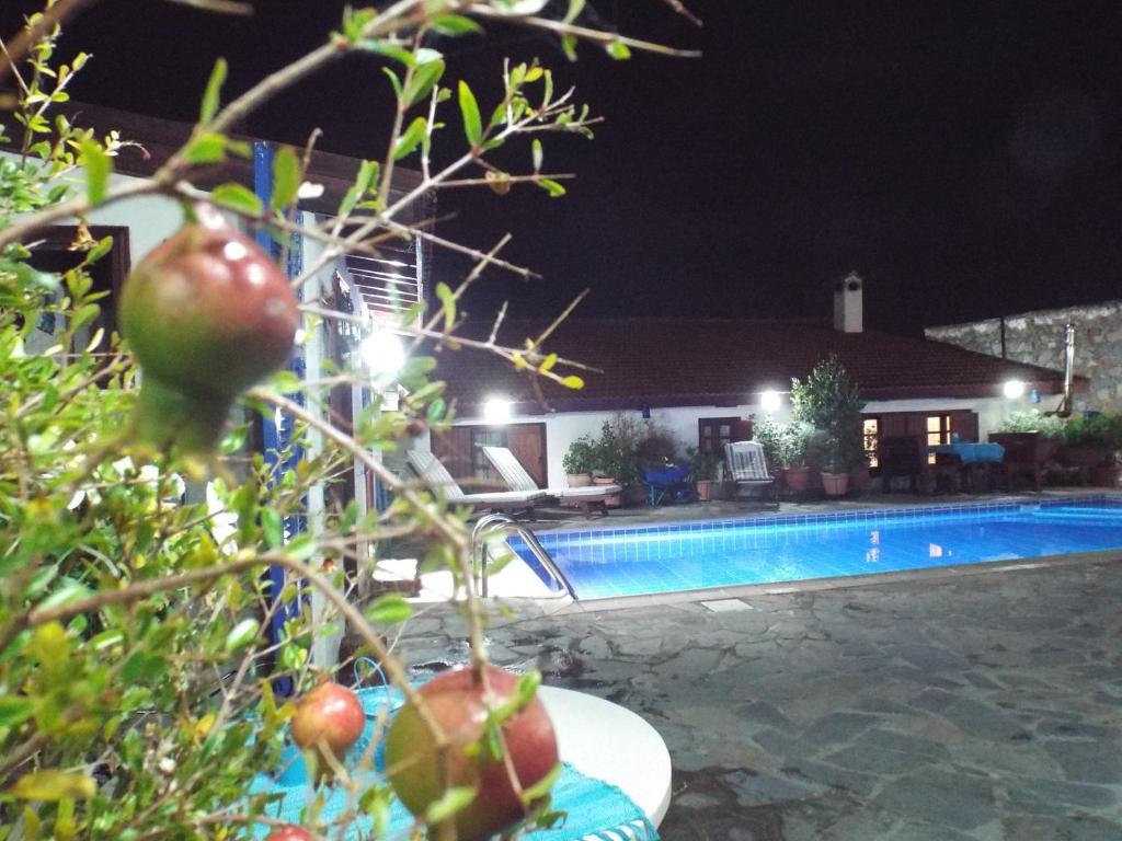 Какопетрия: The Pomegranate's House