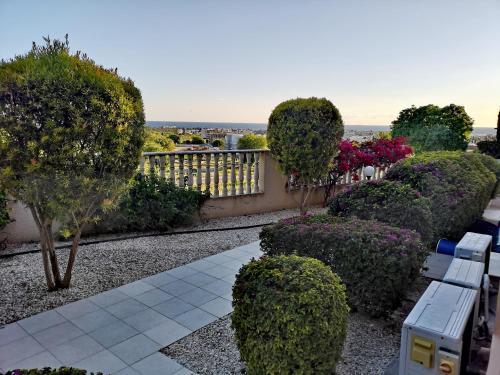 Panorama Court — фото 1