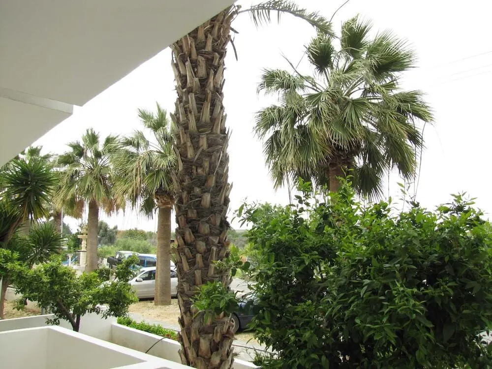 Полис Хрисохус: Majestic Webooking Apartments 4