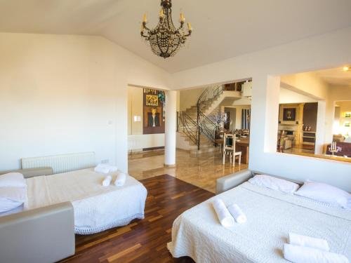Сотира: Sunshine Luxury House