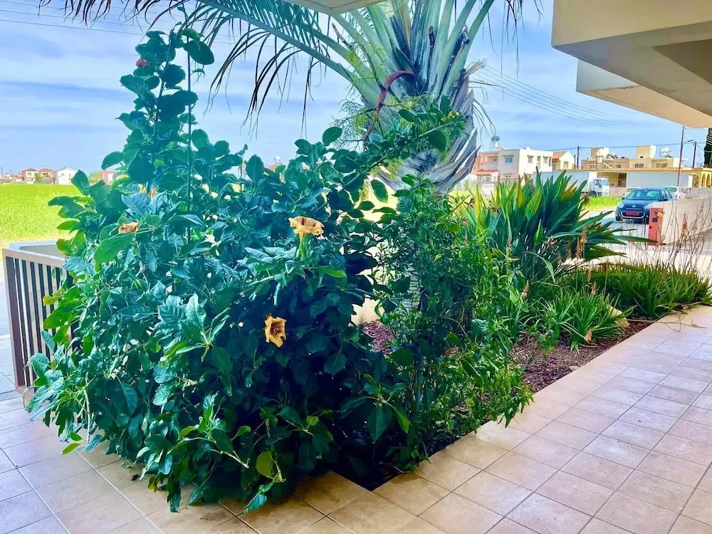 Лекара: Stunning 1-bed Apartment in Larnaca Near the sea