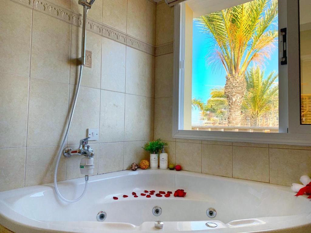 Айя-Напа: Beach Villa Sea View, XXL Pool, 4 Bedroom