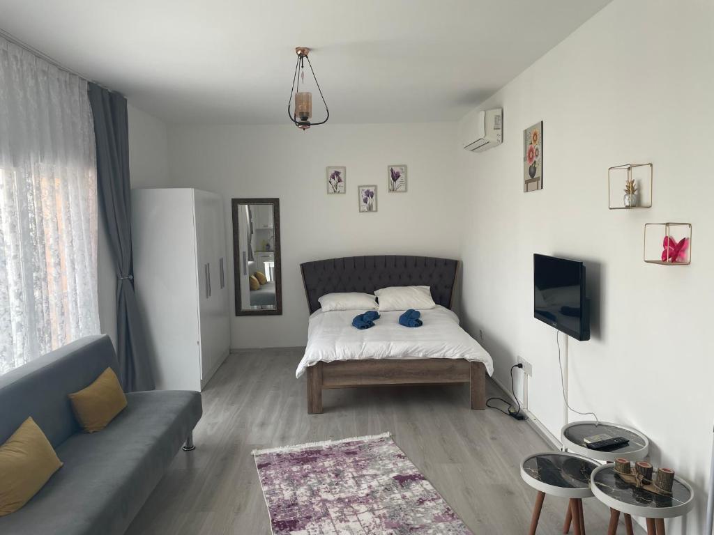 Фамагуста: New studio in the middle of famagusta