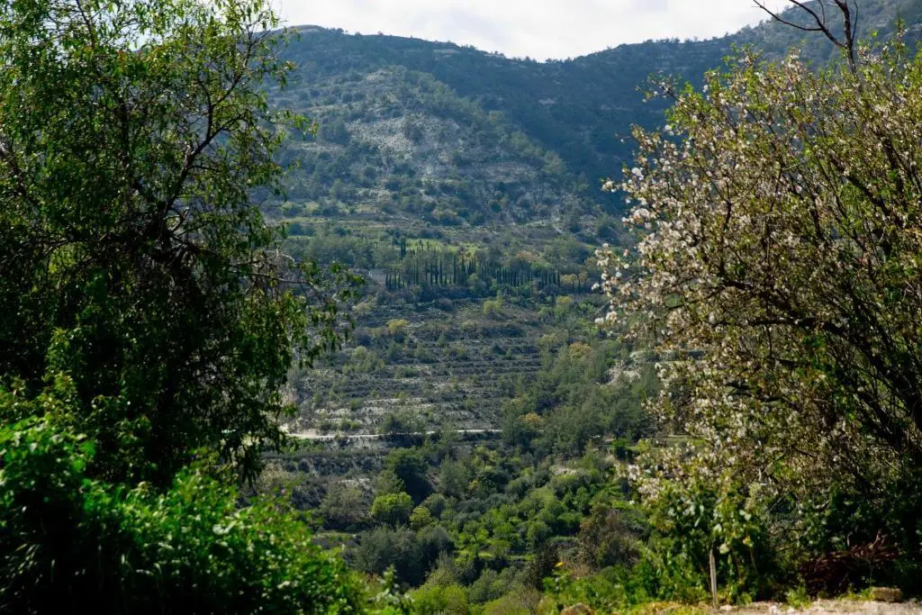 Какопетрия: The Old Olive Mill House By TrulyCyprus