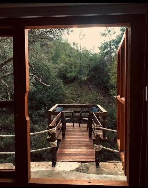 Какопетрия: Bosco Paradiso