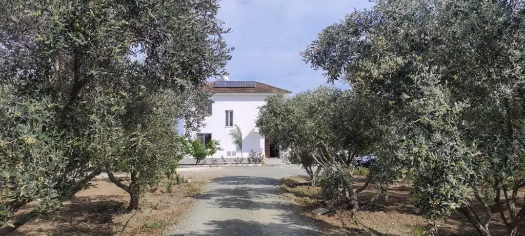 Кити: Kiti Village Villa Larnaca, salt-water pool, 5 bedrooms