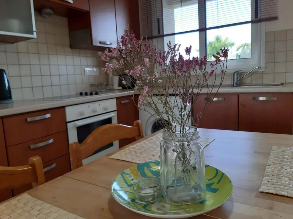 Терсефану: Penthouse Suite in Tersefanou