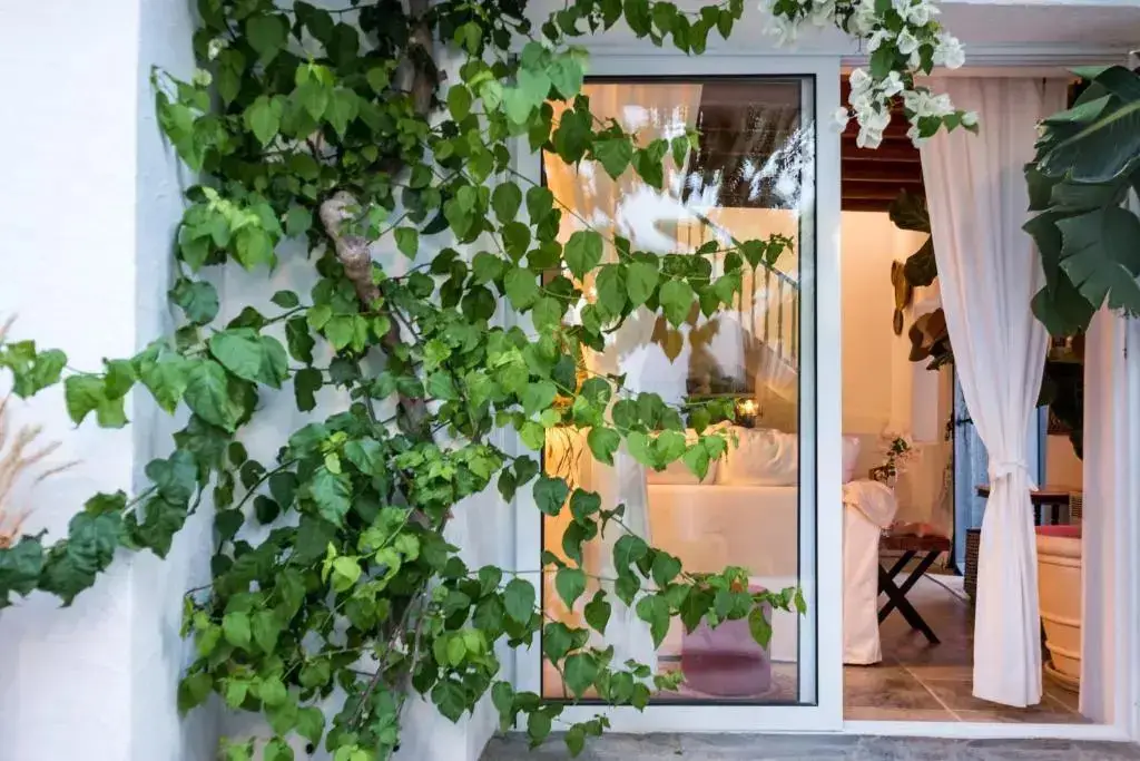 Аламинос: Casa Boho