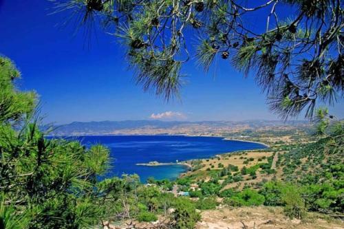The Ultimate 5 Star Holiday Villa in Protaras with Private Pool And Close To the Beach, Protaras Villa 1243 — фото 1