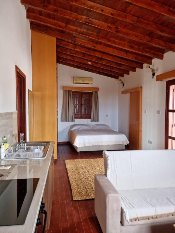 Стени: Steni Traditional Studio Apartment
