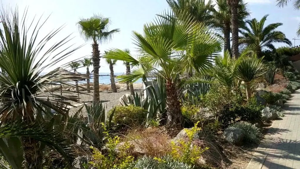 Агиос Тихонас: FANTASTIC 1 BED APARTMENT BY THE SEA OPPOSITE 4 SEASONS Limassol