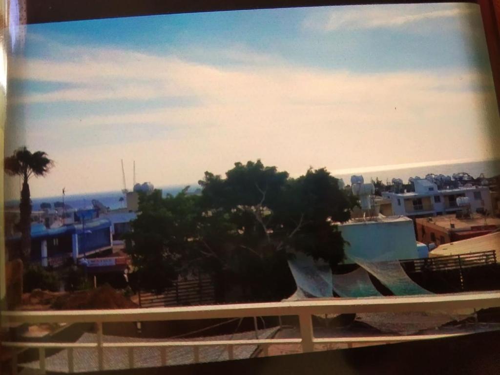 Айя-Напа: Panorama 44 Agya Napa
