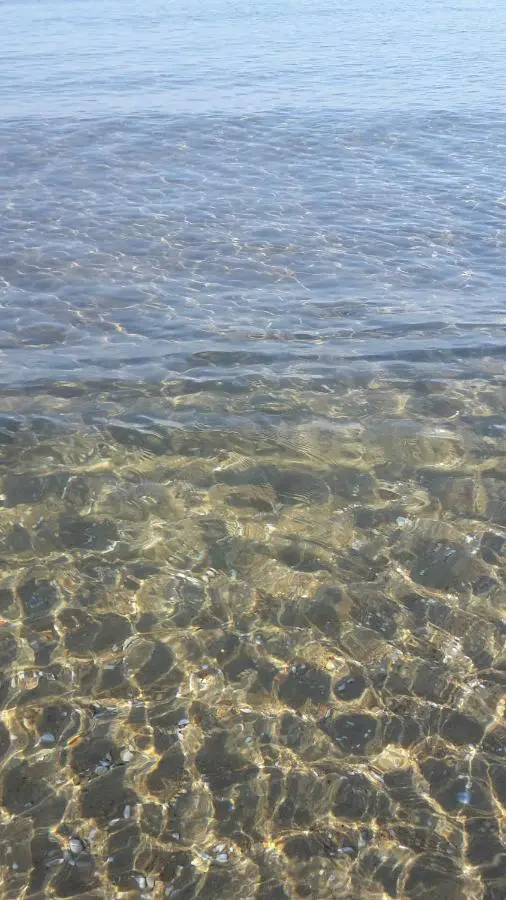 Витязево: Дом Максим
