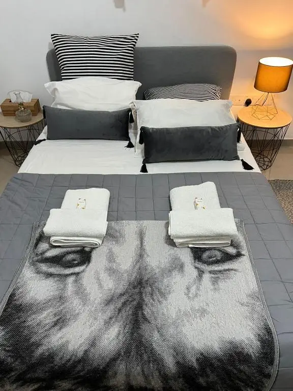 Никосия: HESTIA: Downtown Nicosia studio with 1 double bed