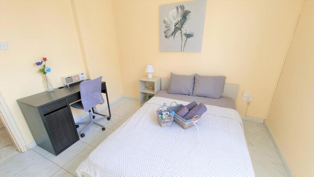 Ларнака: Comfy Rooms + Near SALT LAKE + 100MBit Internet + Shared Apartment