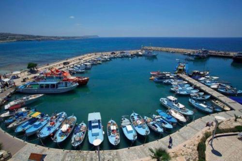 Протарас: The Complete Guide To Renting Your Exclusive Holiday Villa in Paralimni with Private Pool And Close To the Beach, Paralimni Villa 1290