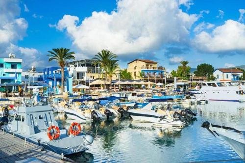 Протарас: The Complete Guide To Renting Your Exclusive Holiday Villa in Paralimni with Private Pool And Close To the Beach, Paralimni Villa 1290
