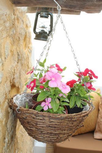 Никосия: Guest House 3 Stars Nicosia