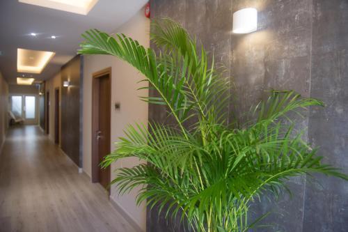 Никосия: Aparthotel 4 Stars Nicosia