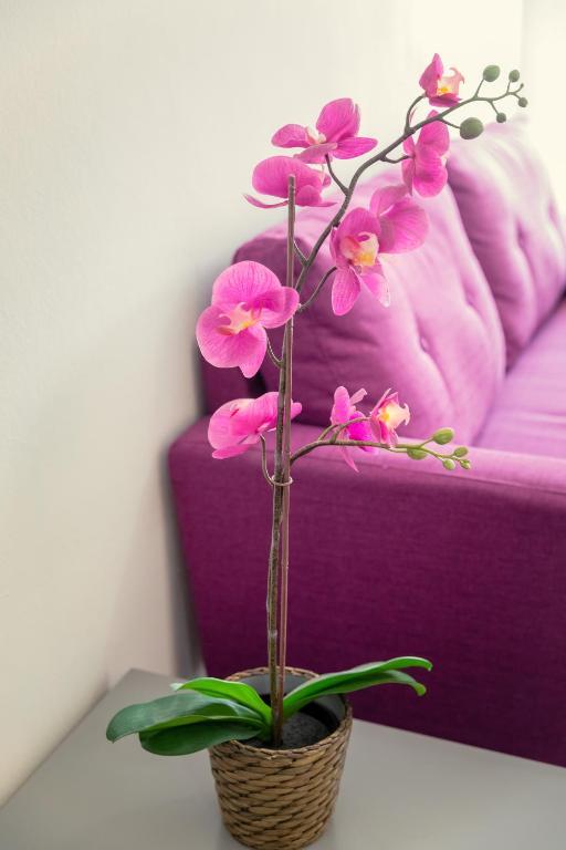 Ларнака: Andriana City Centre Flat