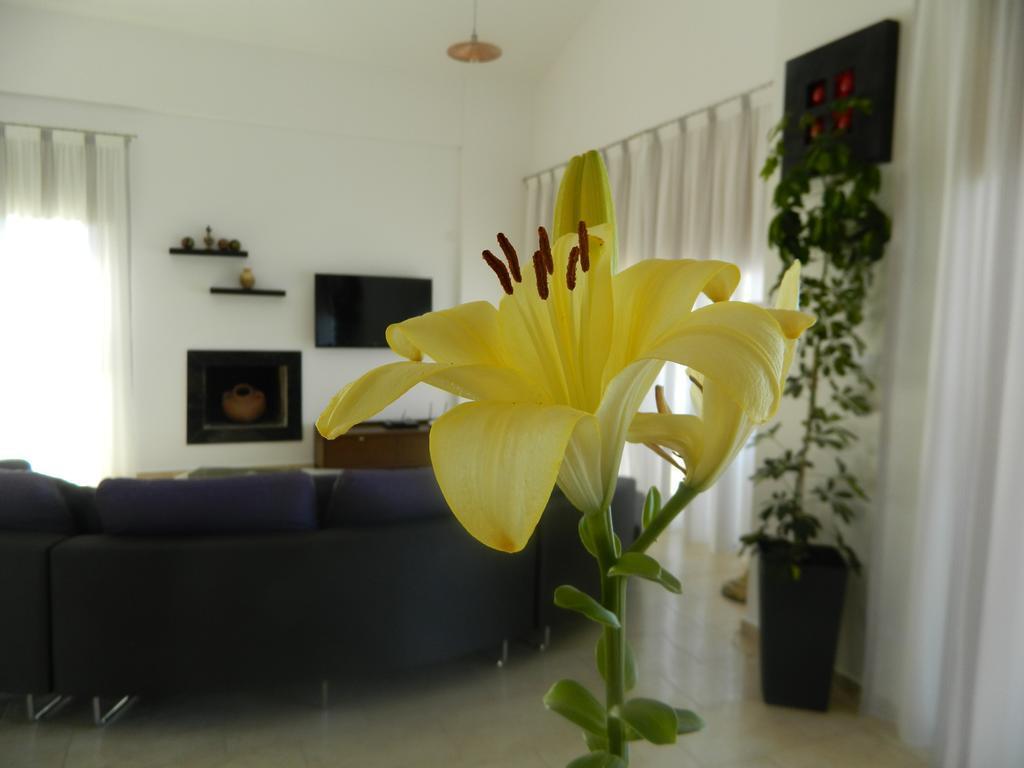 Пейя: Dionysos Villa