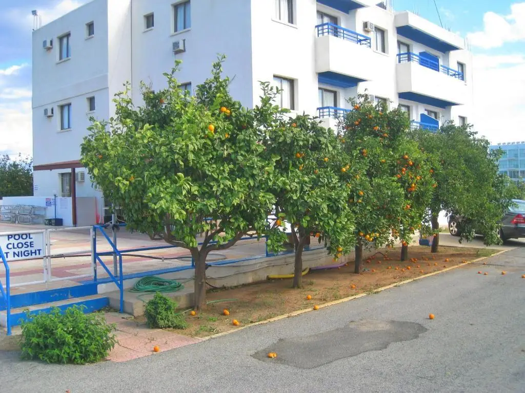 Maouris Apartments — фото 1