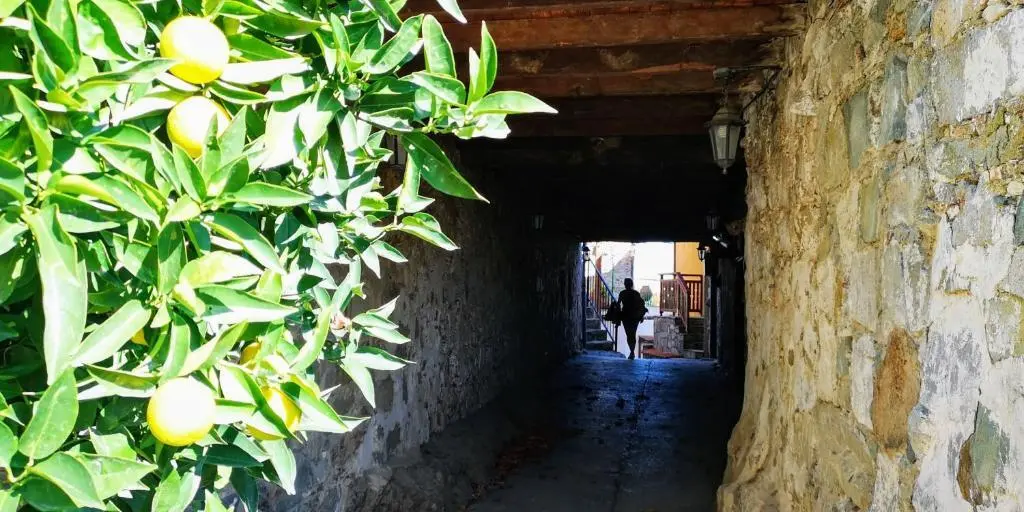Какопетрия: Mountain Traditional Village House Writer's Retreat