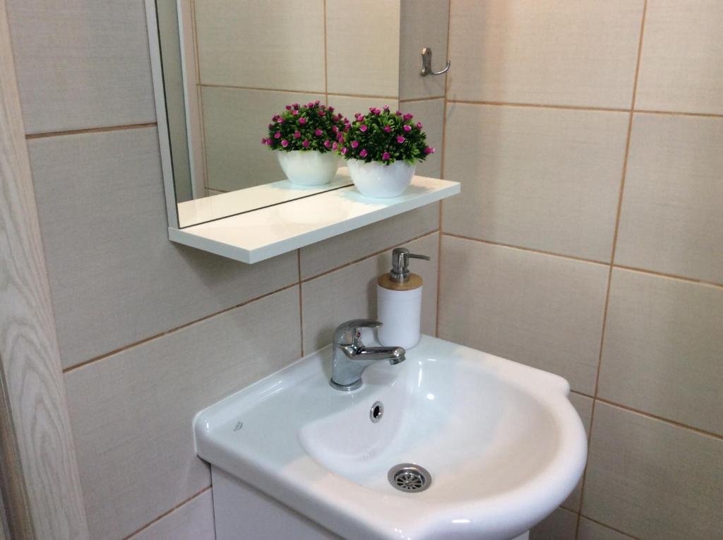Доброта: Apartments Bajkovic