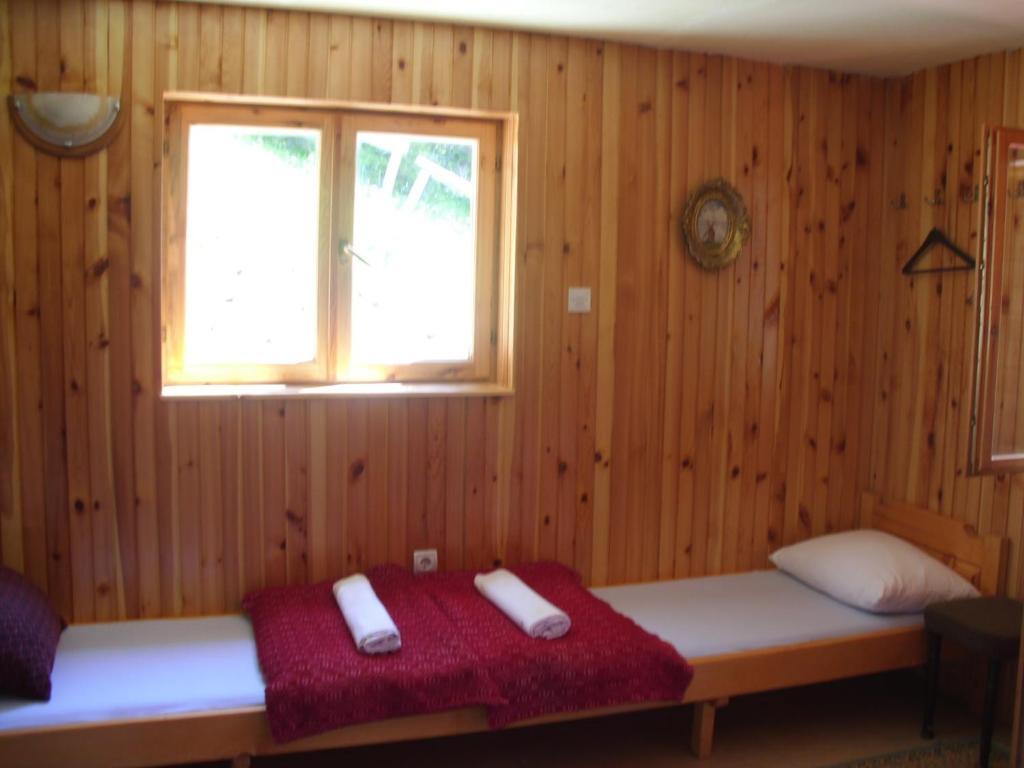 Каньон Tara: Apartment Vujisic
