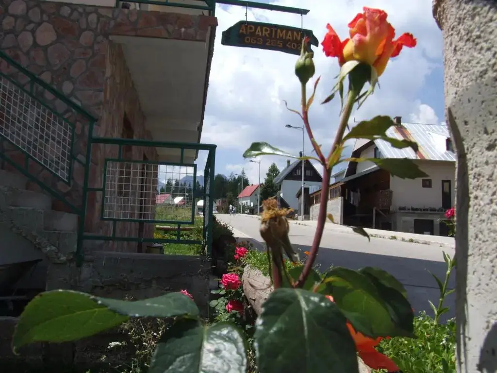 Жабляк: Šćekić Accommodation