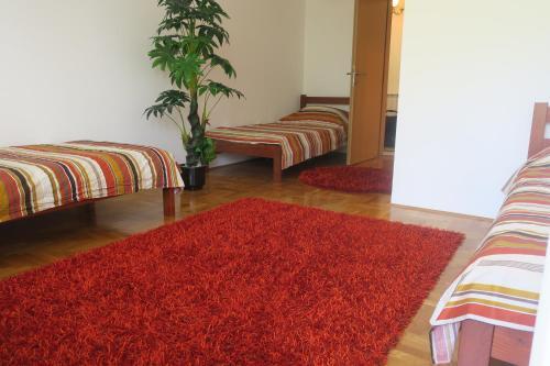 Плав: Apartment Jezero Prokletije