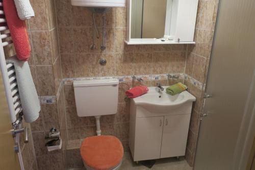 Плав: Apartment Jezero Prokletije