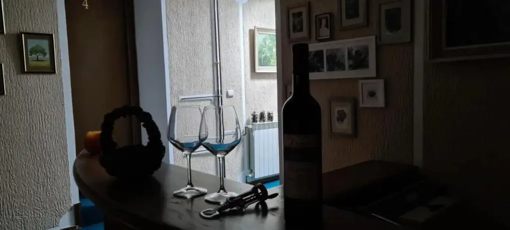 Каньон Tara: Guest House Tiha noć