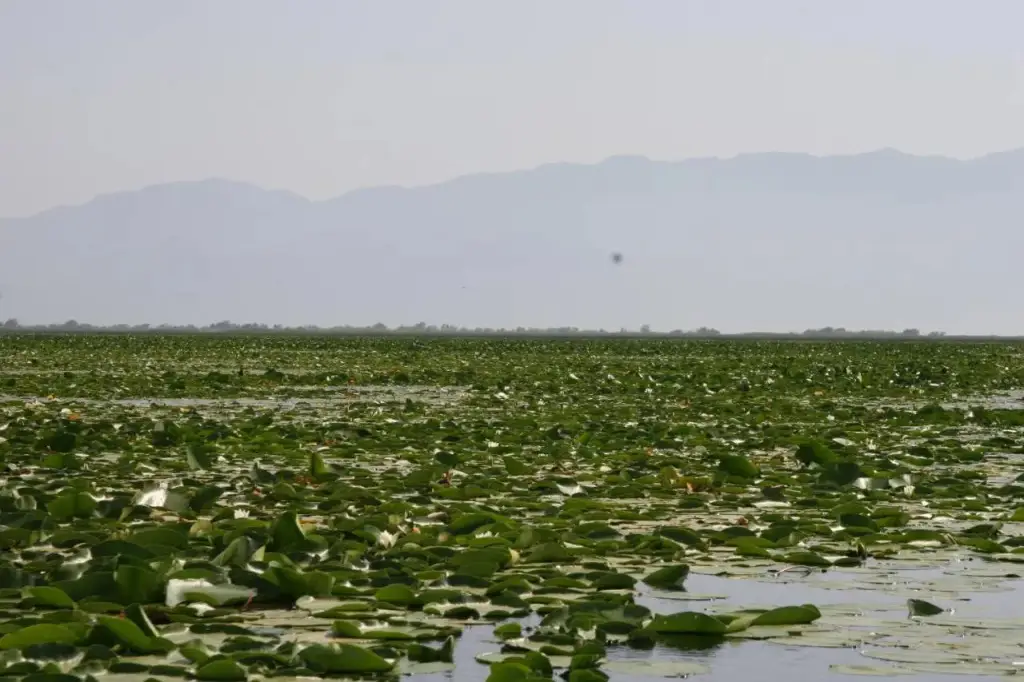 Махала: Guesthouse Skadar Lake