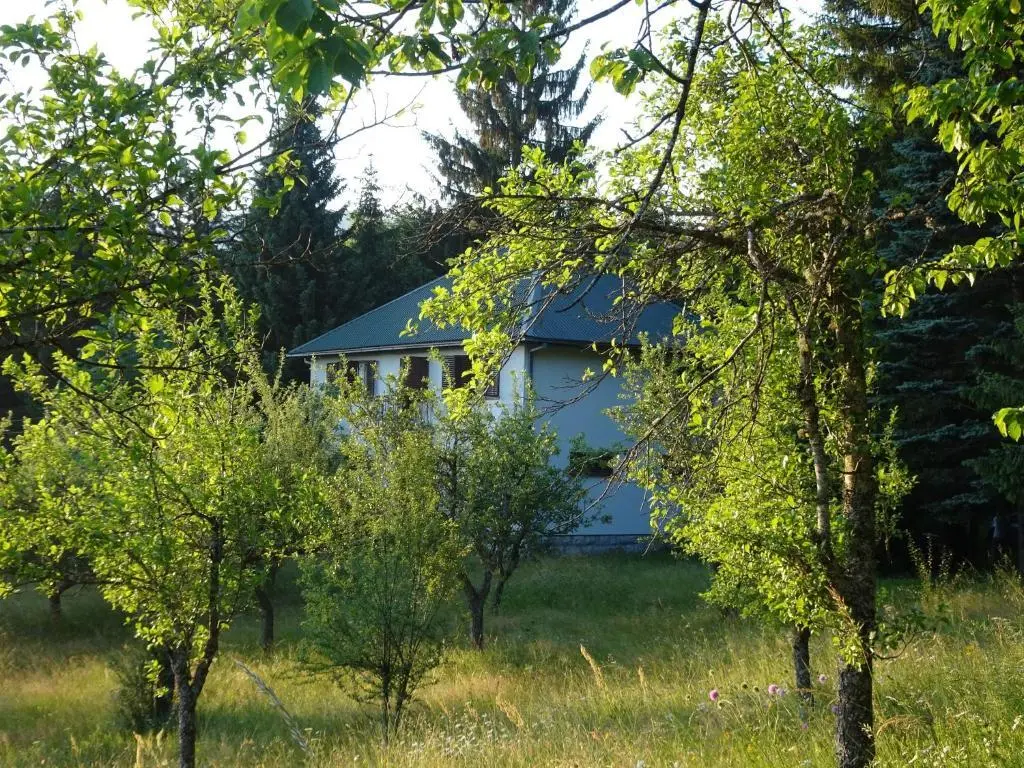 Мойковац: Holiday Home Crkvina